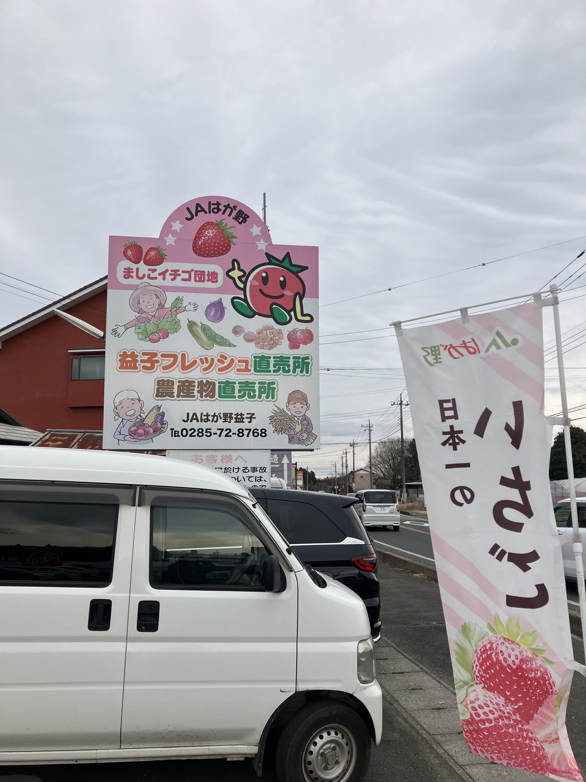 今年も宜しくお願い致します